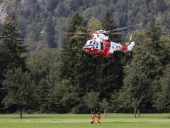 Penyemprotan Disinfektan di Kebun Warga